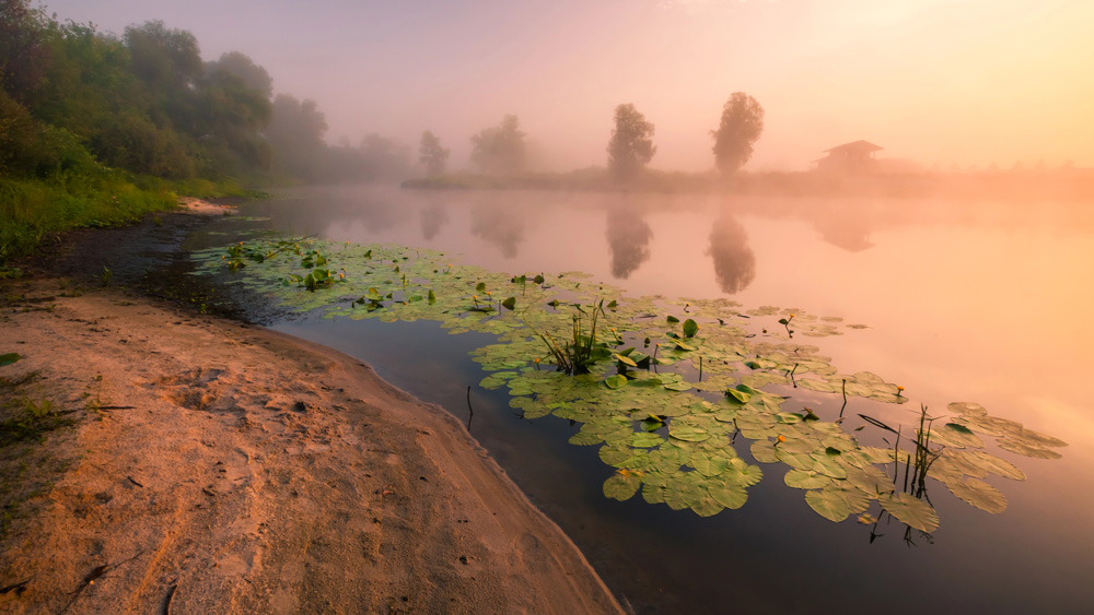 Flusslandschaft