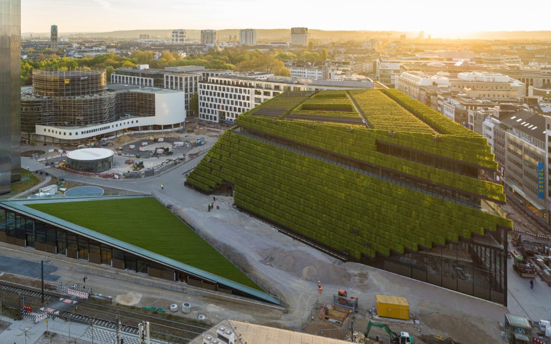 Acht Kilometer grüner Pelz für Düsseldorfer Neubau
