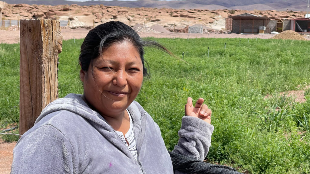"Was erzählen die da?" 
Pamela Condoni vertritt die Interessen von 18 indigenen Gemeinschaften aus dem Salar im Regionalrat - und ist empört über die Kritik europäischer Umweltorganisationen an der Lithiumproduktion in der Atacama-Wüste. 