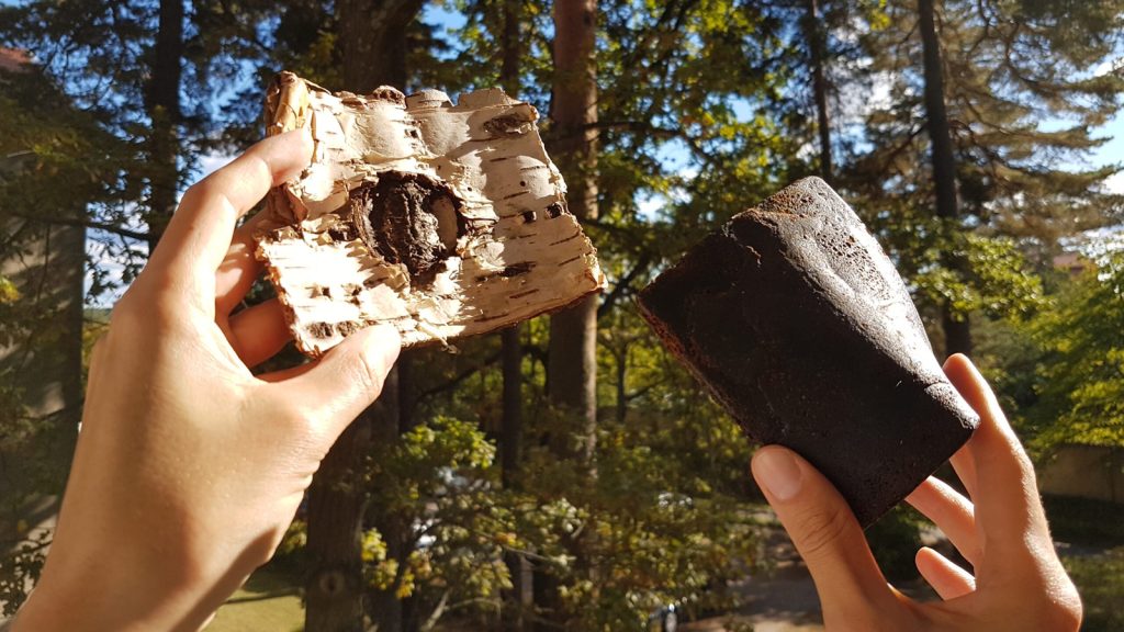 Schwarz gebrannt 
Aus den Resten von Birkenrinden produziert ein schwedisches Unternehmen synthetischen Kautschuk für Nokian-Reifen. Foto: Reselo  