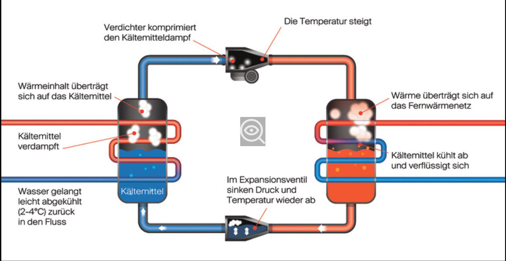 "Vater Rhein" wärmt die Domstadt
Schematische Darstellung der Funktionsweise der Flusswärmepumpe in Köln. Grafik: RheinEnergie 