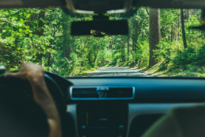 Autofahrer im Wald